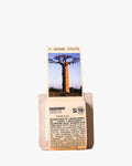 Toun28 Shampoo Bar S19 Baobab + Argan