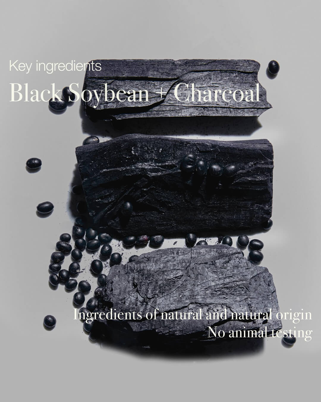 Toun28 Shampoo Bar S21 Black Soybean + Charcoal